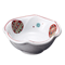 Sashimi Plates 05510