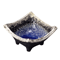Sashimi Plates 05536