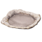 Sashimi Plates 05603