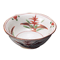 Sashimi Plates 05620