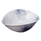 Sashimi Plates 05739