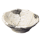 Sashimi Plates 05808