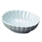 Sashimi Plates 05822