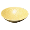 Sashimi Plates 05825