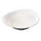Sashimi Plates 05911