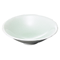 Sashimi Plates 05925
