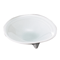 Sashimi Plates 05934