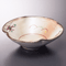 Sashimi Plates 06202