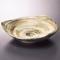 Sashimi Plates 06220