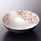 Sashimi Plates 06412