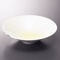 Sashimi Plates 06413