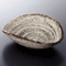 Sashimi Plates 06501