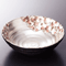 Sashimi Plates 06608