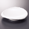Sashimi Plates 06610