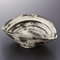 Side Food Plates(Medium) 06915