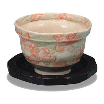 �����Ղ��q�i����t�j �ԎU�炵