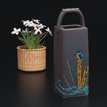 8号花生 かわせみ