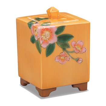 3.8�����F �ʉԖ�C��