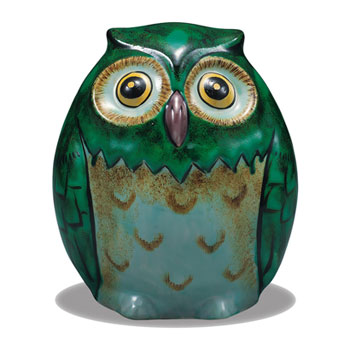 6.5���t�N���E �΍�