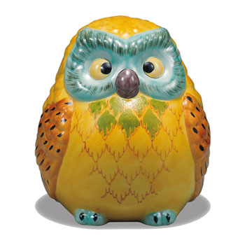 6���t�N���E ����