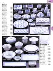 233�y�[�W