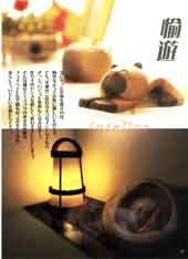 �C���e���A