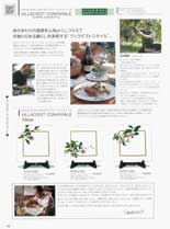 �i���~�{�[���`���C�i�@���B���f�X�g�@�R�����B���B�A�[��