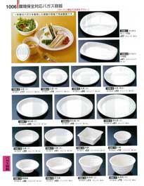1006�y�[�W