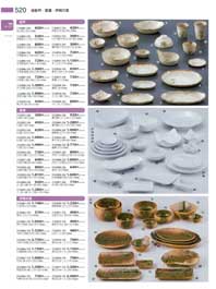 520�y�[�W