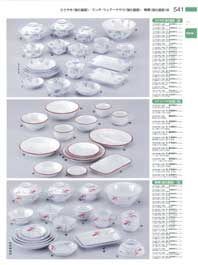 541�y�[�W
