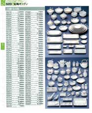 520�y�[�W