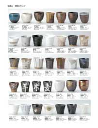 224�y�[�W