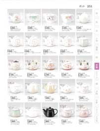 251�y�[�W