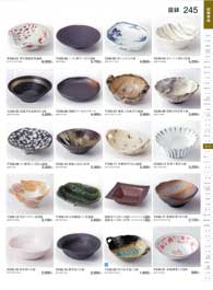 245�y�[�W