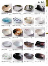 249�y�[�W