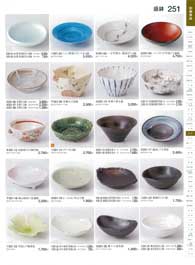 251�y�[�W