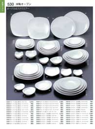 530�y�[�W