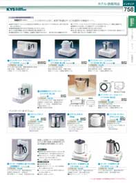 �C���e���A�i�z�e���E���ٗp�i�j