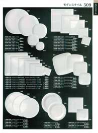 509�y�[�W