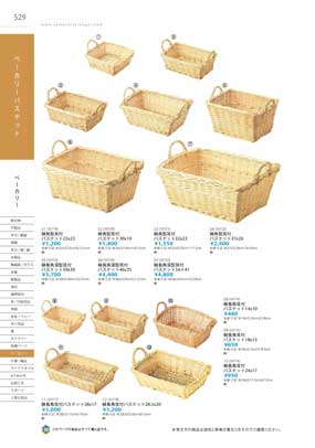 529�y�[�W