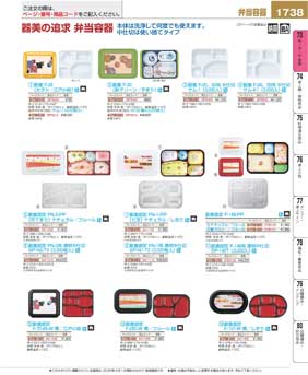 1738�y�[�W