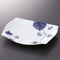 Plates for Mixed Foods 15502
