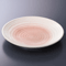 Dish sets 16312