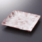 Dish sets 16509