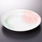 Dish sets 16929