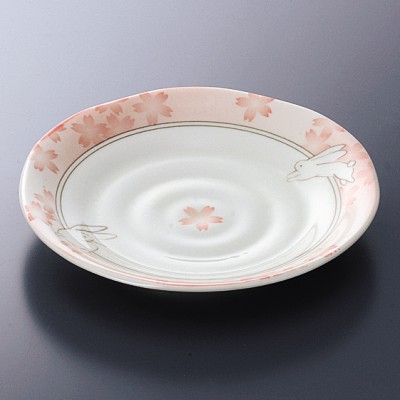 Dish sets 17347