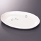 Appetizer Plates 18630