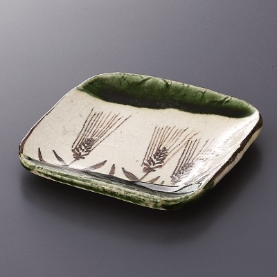 Plates 19504