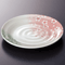 Plates 19529