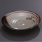 Plates 19731